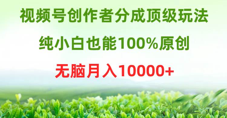 视频号创作者分成顶级玩法，纯小白也能100%原创，无脑月入10000+ - 智识科技网-智识科技网