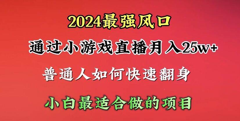 2024年最强风口，通过小游戏直播月入25w+单日收益5000+小白最适合做的项目 - 智识科技网-智识科技网