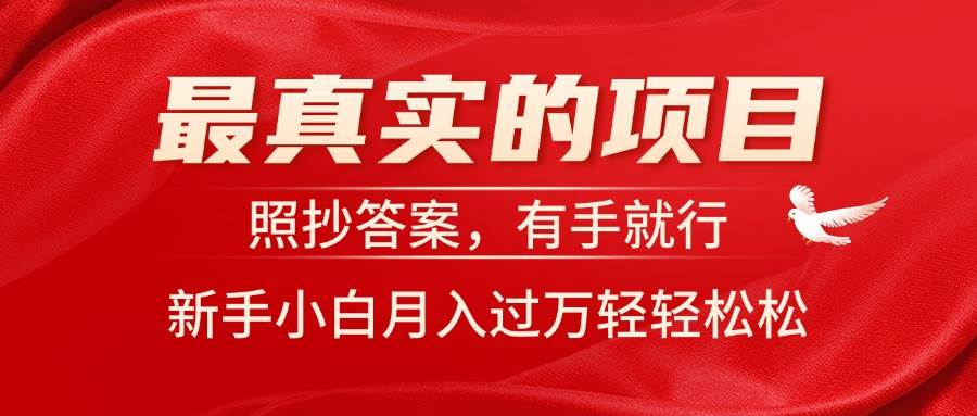 最真实的项目，照抄答案，有手就行，新手小白月入过万轻轻松松 - 智识科技网-智识科技网